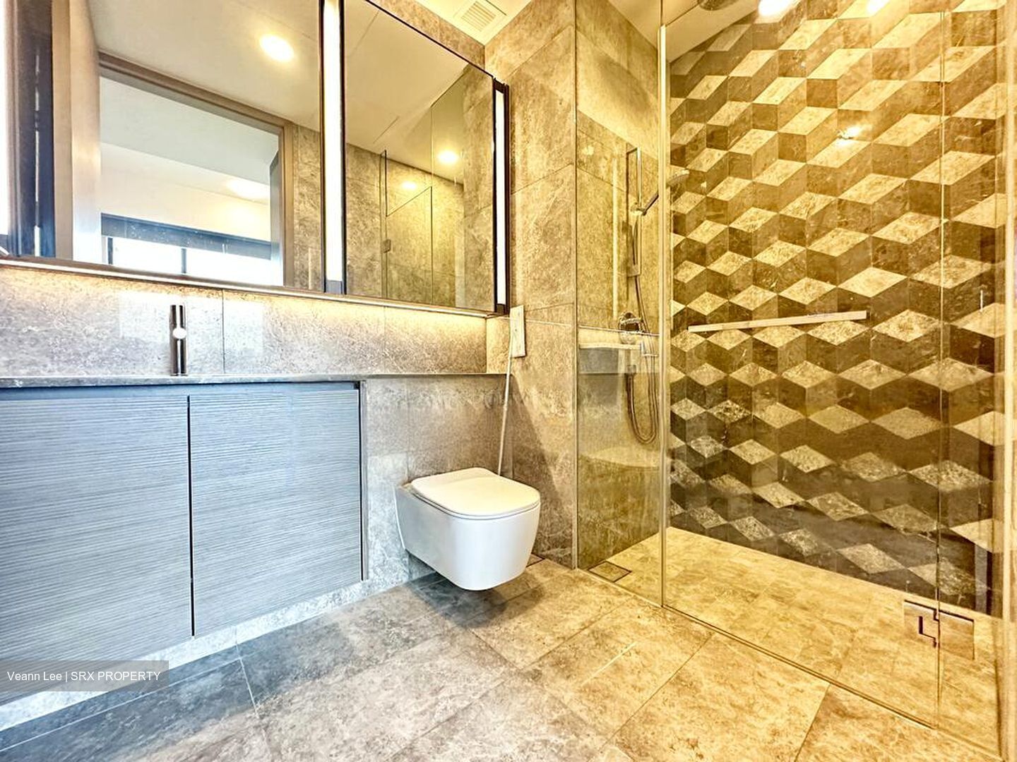 Leedon Green (D10), Condominium #509170201